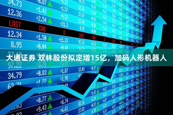 大通证券 双林股份拟定增15亿，加码人形机器人