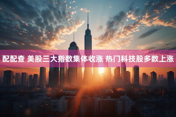 配配查 美股三大指数集体收涨 热门科技股多数上涨