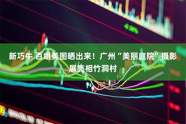 新巧牛 百组美图晒出来！广州“美丽庭院”摄影展亮相竹洞村