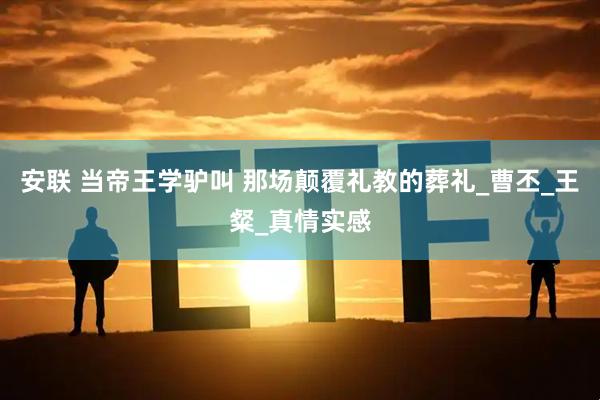 安联 当帝王学驴叫 那场颠覆礼教的葬礼_曹丕_王粲_真情实感