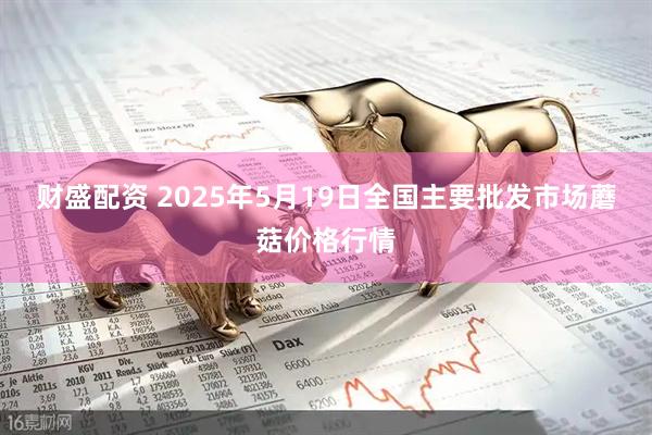 财盛配资 2025年5月19日全国主要批发市场蘑菇价格行情
