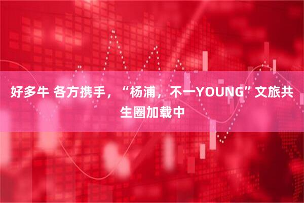 好多牛 各方携手，“杨浦，不一YOUNG”文旅共生圈加载中