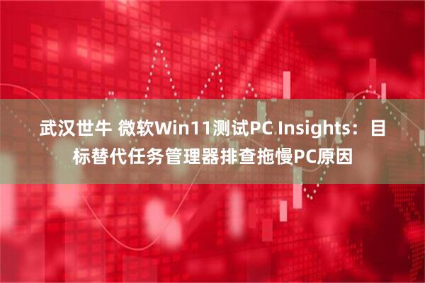 武汉世牛 微软Win11测试PC Insights:目标替代任务管理器排查拖慢PC原因